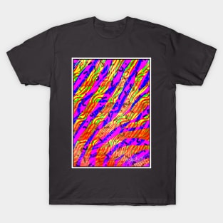 ACID_DRAGOON.TRP - Classic T-Shirt